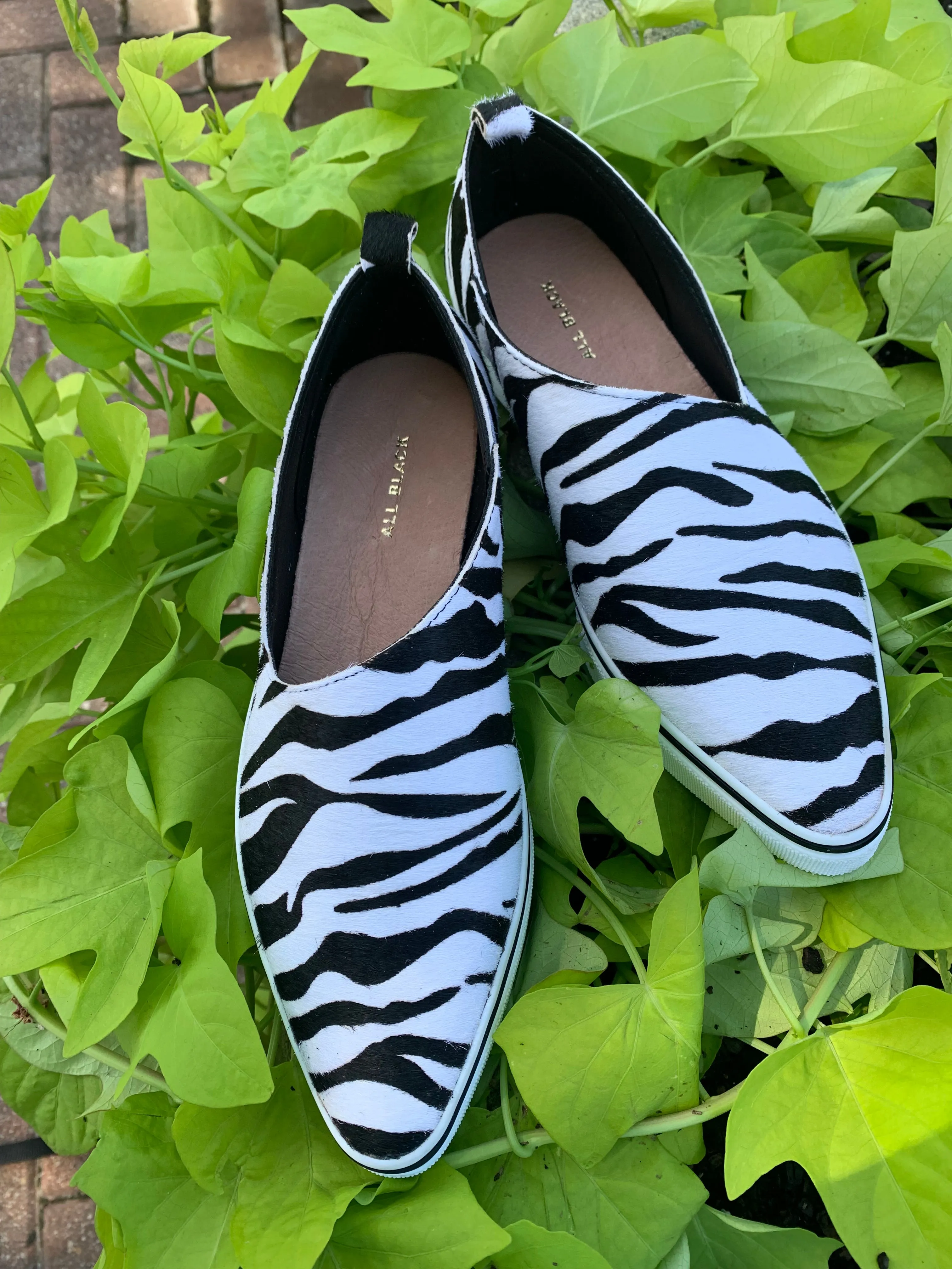 ALL BLACK FOOTWEAR - Side Scoop Sneak 24 - Zebra