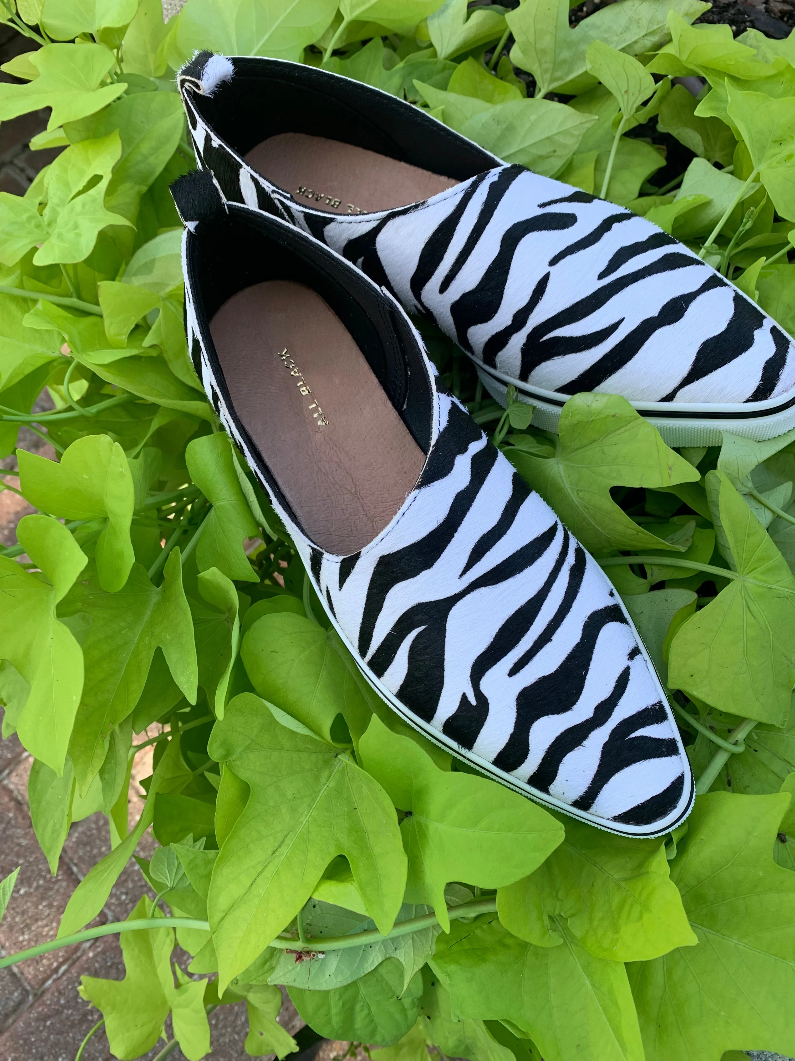 ALL BLACK FOOTWEAR - Side Scoop Sneak 24 - Zebra
